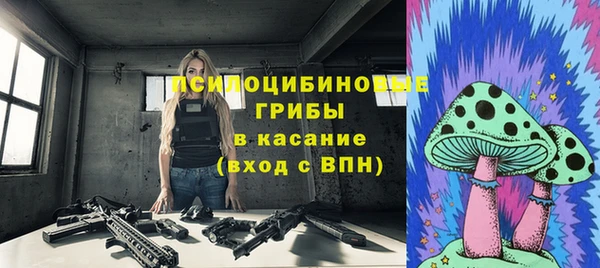 гидра Алзамай