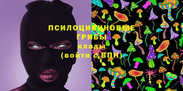 PSILOCYBIN Алексин