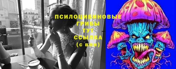 PSILOCYBIN Алексин